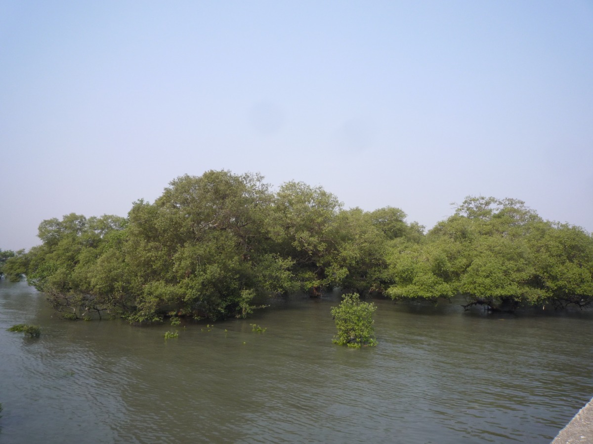 Elephanta caves07